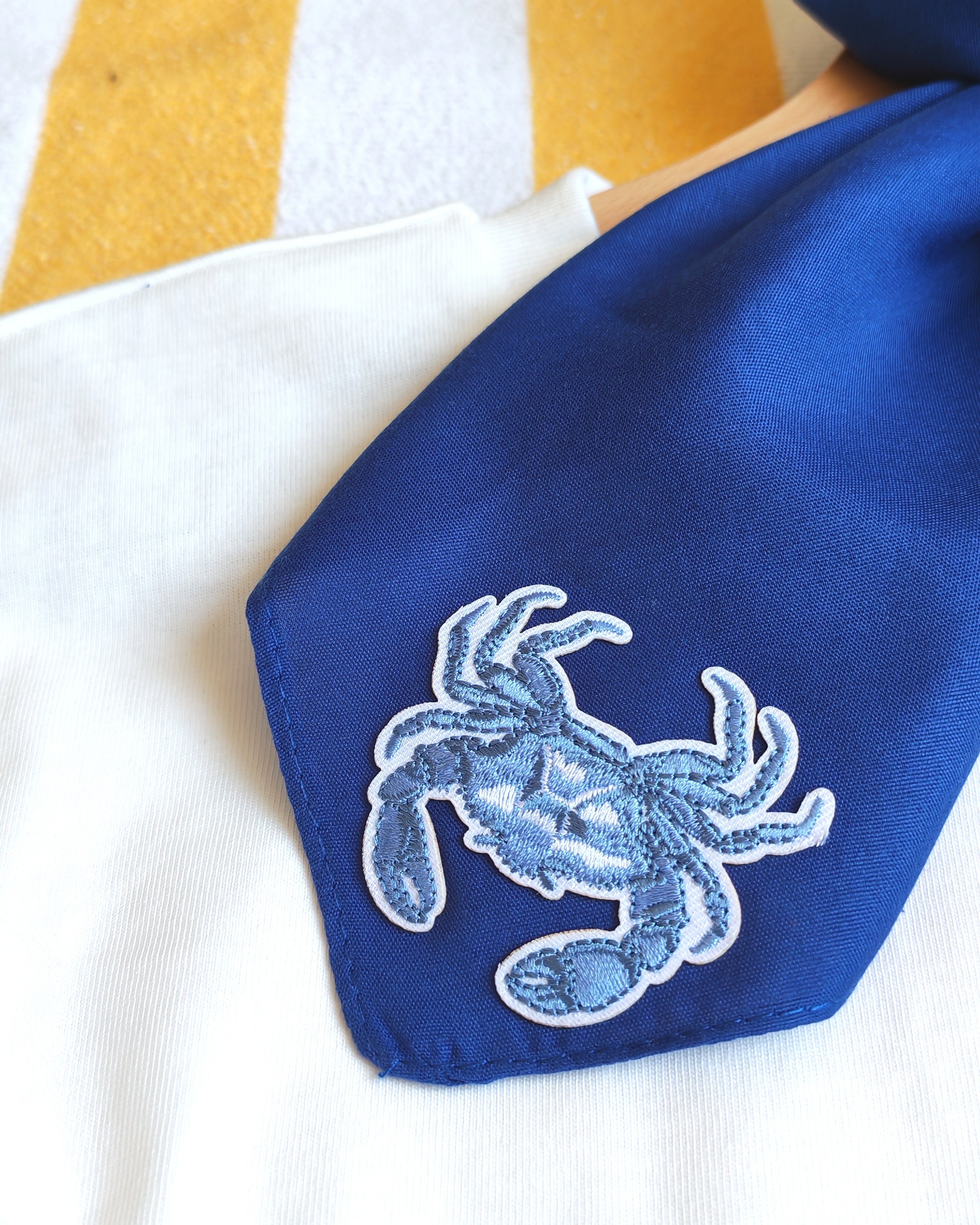Ensemble T-shirt, sac, foulard CRABE